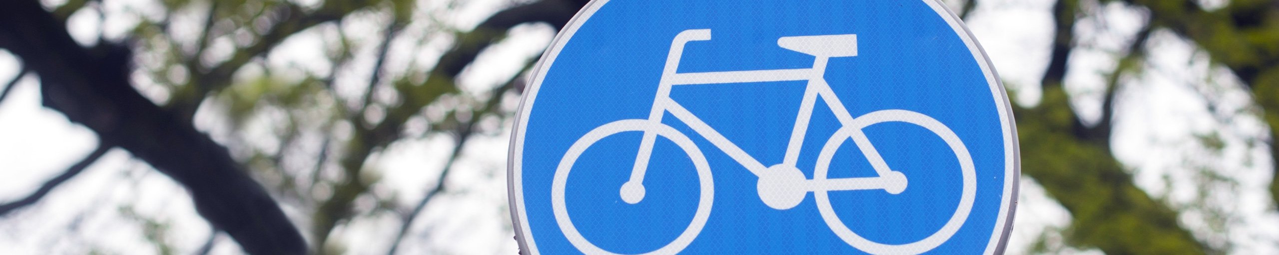 Zuidplas snelfietsroute